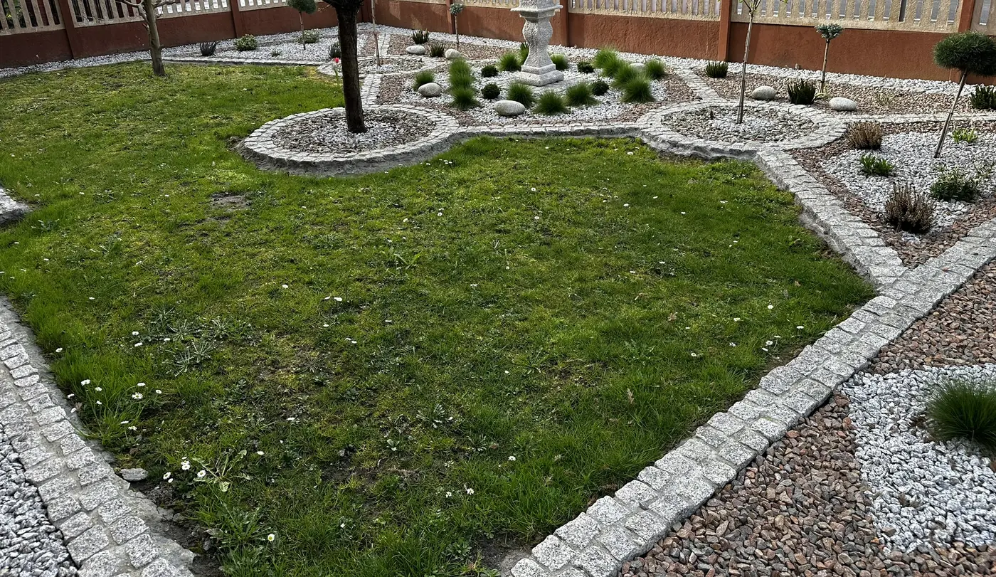 Ogród z trawnikiem obramowanym kostką granitową, okrągłe rabaty żwirowe wokół drzew